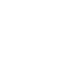 icon-shield